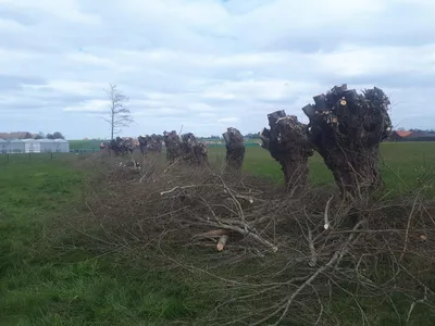 Gallery image 21